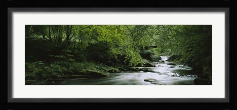 Framed River flowing in the forest, Aberfeldy, Perthshire, Scotland Print