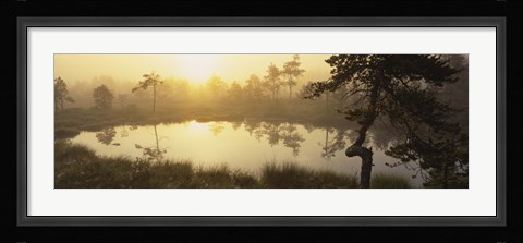 Framed Reflection of trees in a lake, Vastmanland, Sweden Print