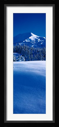 Framed Turnagain Pass Kenai Peninsula, Alaska Print