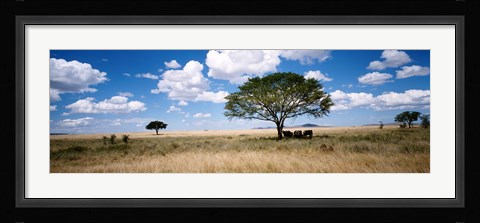 Framed Elephants, Kenya, Africa Print