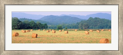 Framed Hay bales in a field, Murphy, North Carolina, USA Print