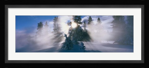 Framed West Thumb Geyser Basin Yellowstone National Park WY Print