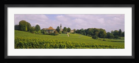 Framed WIne country with buildings in the background, Village near Geneva, Switzerland Print
