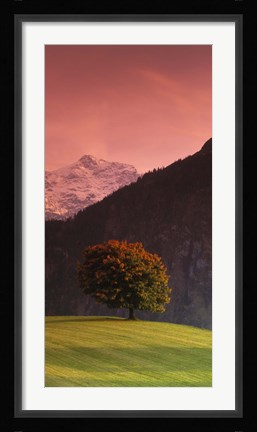 Framed Switzerland, Alps Print