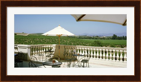 Framed Vineyards Terrace at Winery Napa Valley CA USA Print