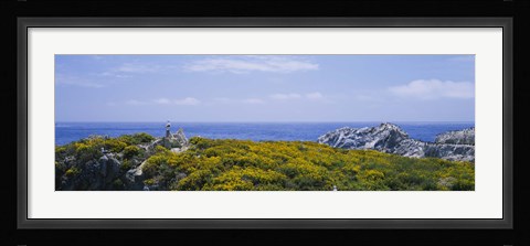 Framed Sea gulls perching on rocks, Point Lobos State Reserve, Bird Island, California, USA Print
