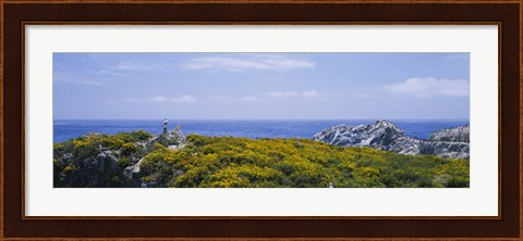 Framed Sea gulls perching on rocks, Point Lobos State Reserve, Bird Island, California, USA Print