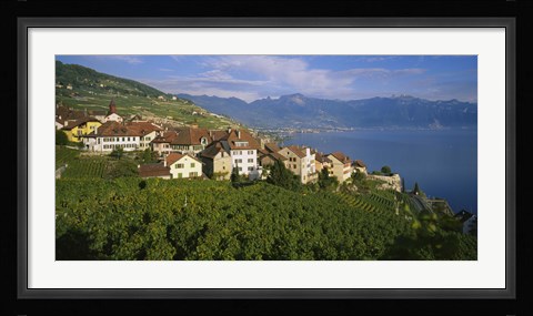 Framed Village Rivaz between Vineyards &amp; Mts. Lake Geneva Switzerland Print