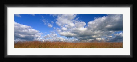 Framed Hayden Prairie, Iowa Print