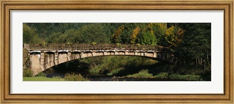 Framed Bridge in a forest, Black Forest, Germany Print