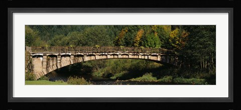 Framed Bridge in a forest, Black Forest, Germany Print