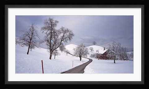 Framed Switzerland, Canton of Zug, Linden trees on a snow covered landscape Print