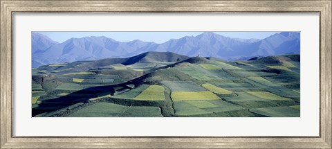 Framed Fields, Farm, Qinghai Province, China Print