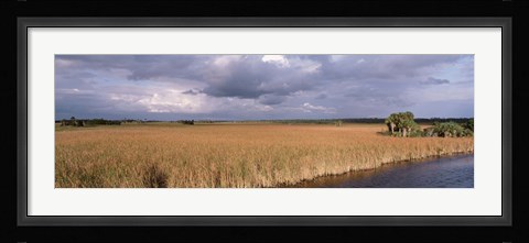 Framed USA, Florida, Big Cypress National Preserve along Tamiami Trail Everglades National Park Print
