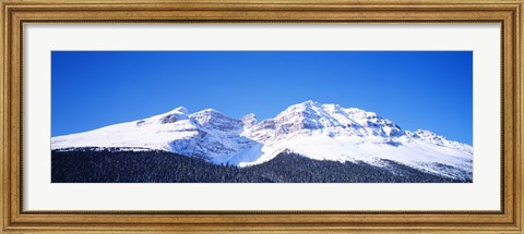 Framed Snow Covered Mountain, Banff National Park Alberta Canada Print