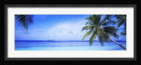 Framed Ocean, Island, Water, Palm Trees, Maldives Print
