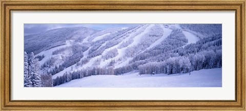 Framed Mountains, Snow, Steamboat Springs, Colorado, USA Print