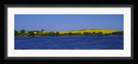 Framed Lake in front of a rape field, Holstein, Schleswig-Holstein, Germany Print