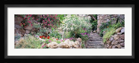 Framed Flowers in a garden, Tossa De Mar, Old town, Costa Brava, Catalonia, Spain Print