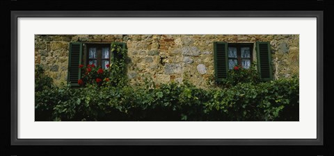 Framed Flowers on a window, Monteriggioni, Tuscany, Italy Print