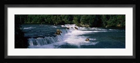 Framed Bears fish Brooks Fall Katmai AK Print