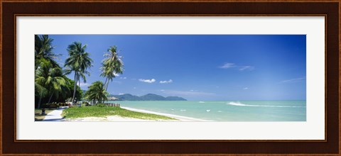 Framed Palm trees on the beach, Penang State, Malaysia Print
