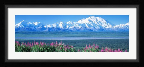 Framed Mountains &amp; Lake Denali National Park AK USA Print