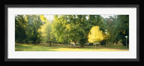 Framed Trees in a park, Wiesbaden, Rhine River, Germany Print