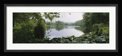 Framed Forest and River, Sjolangs, Sweden Print