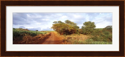 Framed Dirt road passing through a agricultural field, Kauai, Hawaii, USA Print