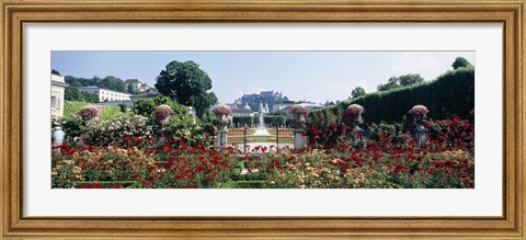 Framed Flowers in a formal garden, Mirabell Gardens, Salzburg, Salzkammergut, Austria Print