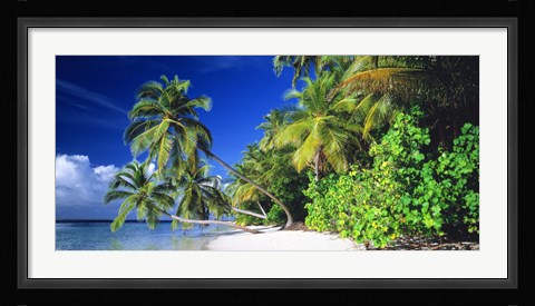 Framed Palm Beach The Maldives Print
