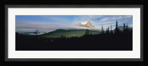 Framed Silhouette of trees with a mountain in the background, Canadian Rockies, Alberta, Canada Print