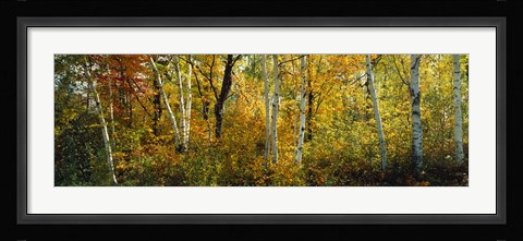 Framed Lac Du Flambeau WI USA Print