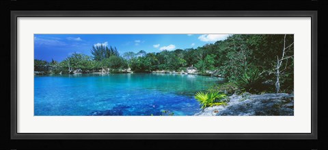 Framed Cozumel, Mexico Print