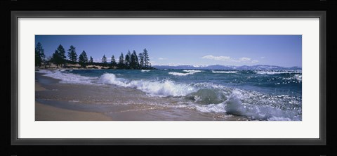 Framed Trees along a lake, Lake Tahoe, Nevada, USA Print