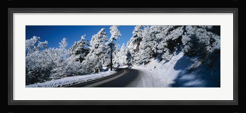 Framed Road passing through a forest, Lake Arrowhead, San Bernardino County, California, USA Print