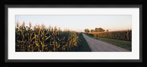 Framed Dirt road passing through fields, Illinois, USA Print