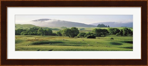 Framed Farmland Southland New Zealand Print
