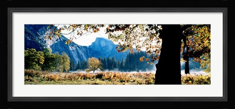 Framed Half Dome, Yosemite National Park, California, USA Print