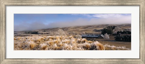 Framed Barn in a field, Morven Hills Station, Otago, New Zealand Print