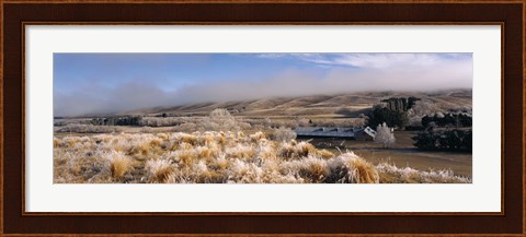 Framed Barn in a field, Morven Hills Station, Otago, New Zealand Print