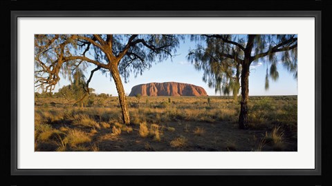 Framed Ayers Rock Australia Print