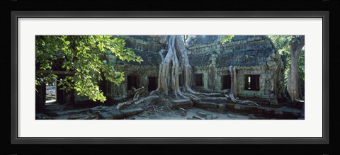 Framed Wat Temple Complex of Ta-Prohm Cambodia Print