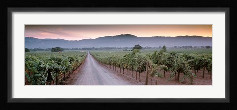 Framed Road in a vineyard, Napa Valley, California, USA Print