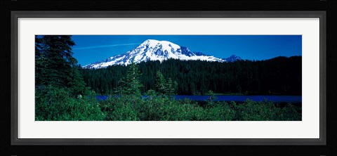 Framed Mt Rainier Mt Rainier National Park WA USA Print