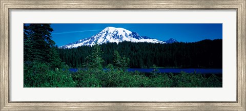 Framed Mt Rainier Mt Rainier National Park WA USA Print
