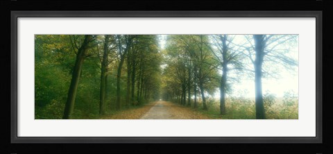 Framed Road With Fog, France Print