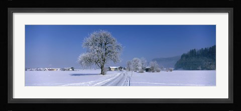 Framed Winter Scenic, Austria Print