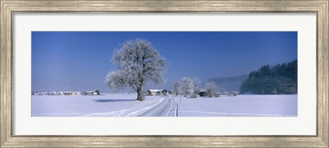 Framed Winter Scenic, Austria Print